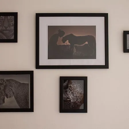 Le Di Sara Parking And Two In The Historic Center Apartman *